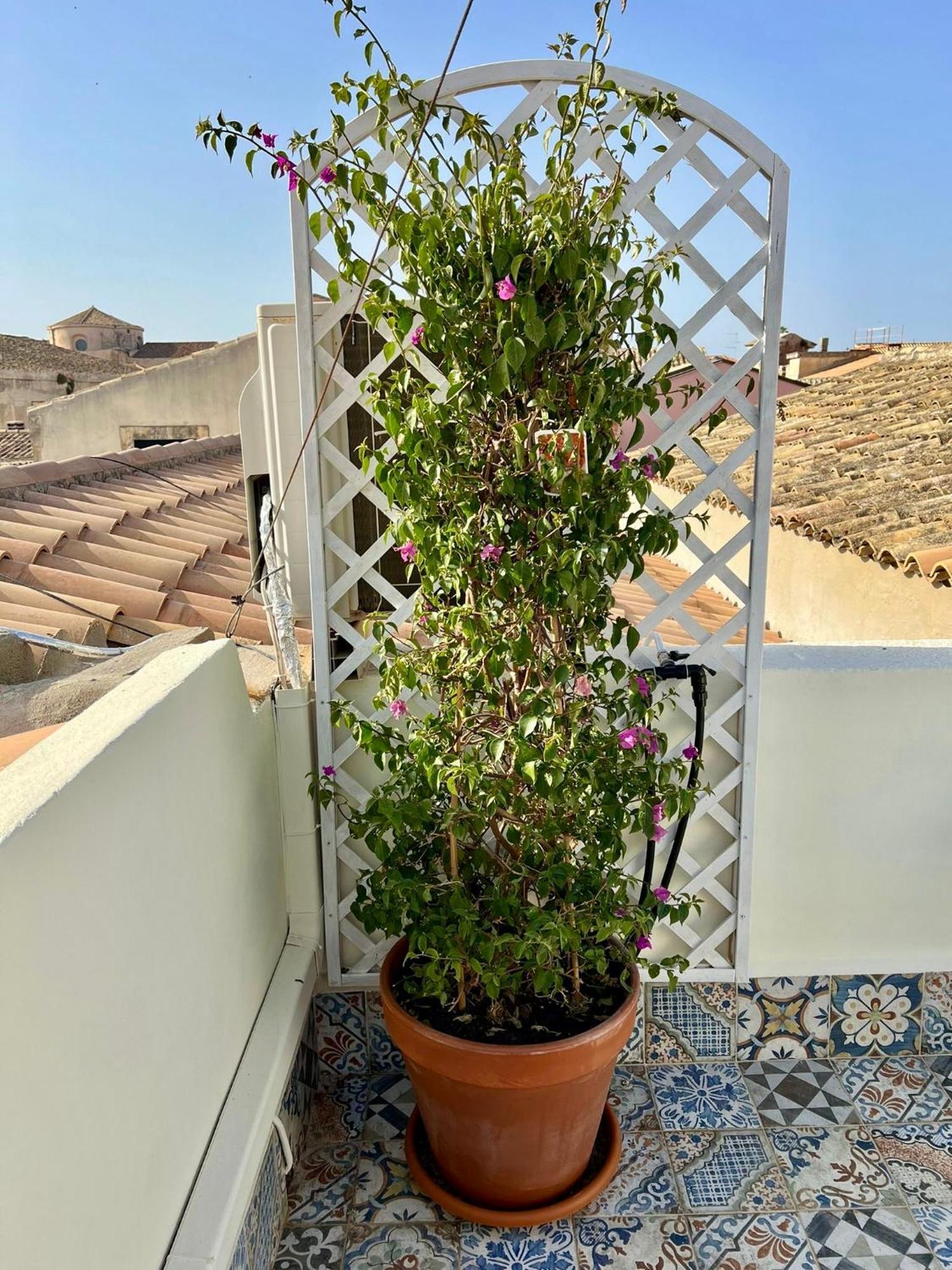 Incantevole Appartamento In Palazzo Storico Ortigia Сиракузы Экстерьер фото